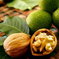 Саджанець Грецький горіх Топорівський в контейнері